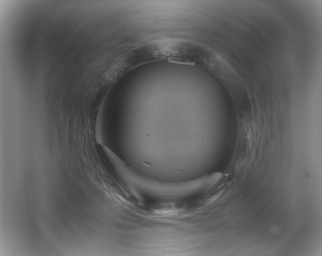 X0000066020223200603031257