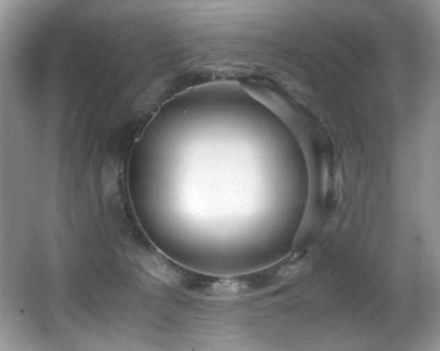 X0000066020225200603031257