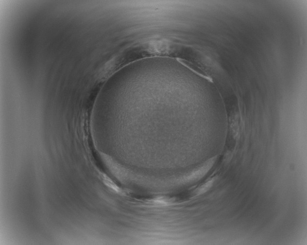 X0000066020233200603031257