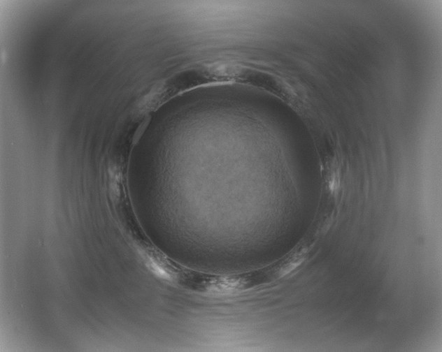 X0000066020235200603031257