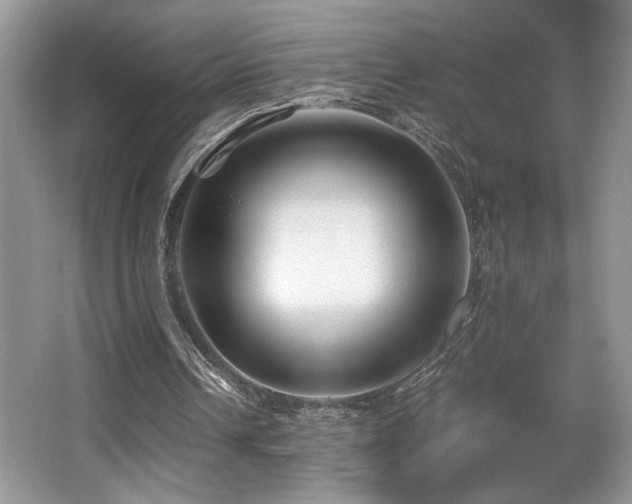 X0000066020242200603031256