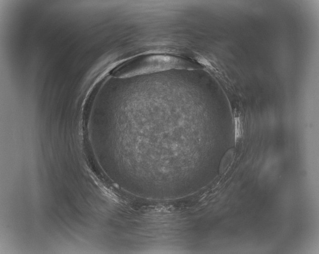 X0000066020243200603031256