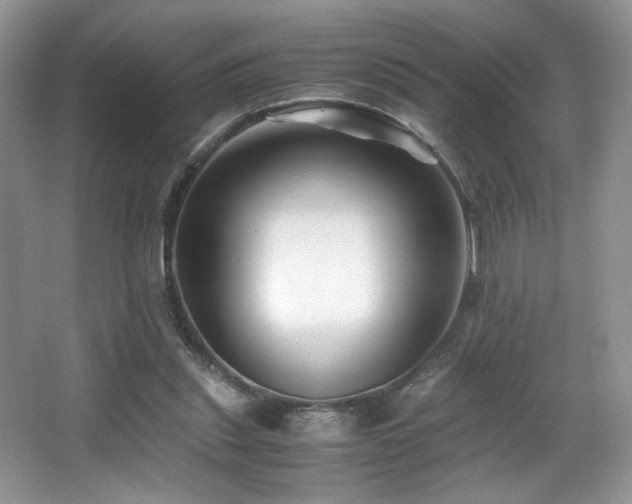 X0000066020253200603031256