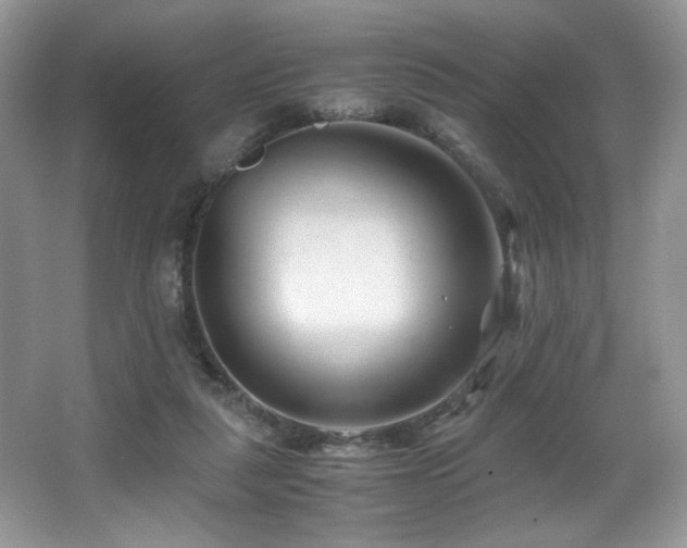 X0000066020259200603031256