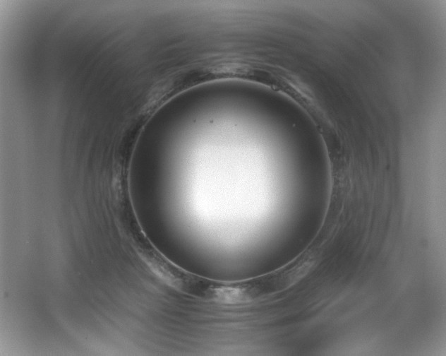 X0000066020265200603031257