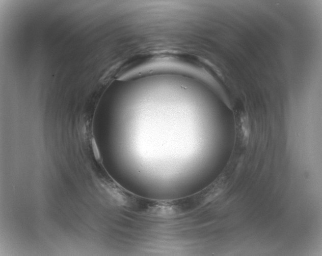 X0000066020276200603031257