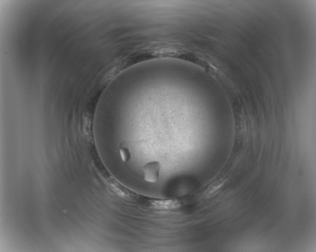 X0000066020281200603031257
