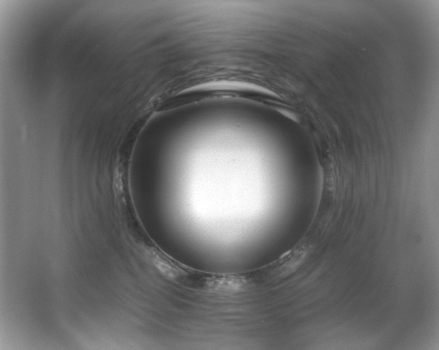 X0000066020282200603031257