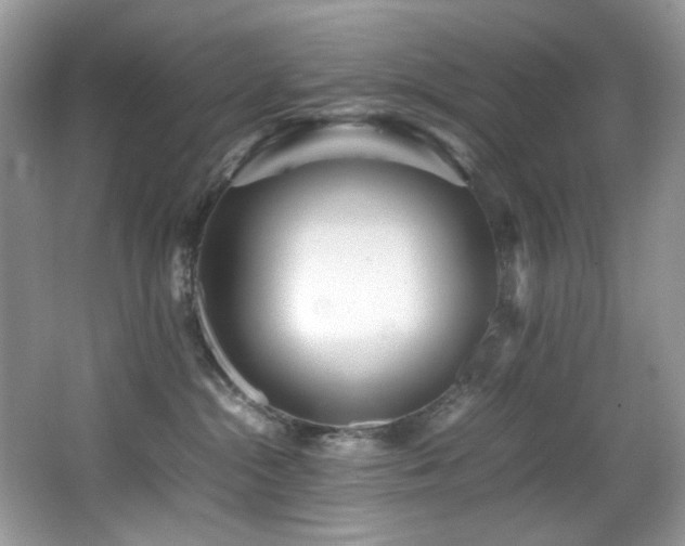 X0000066020284200603031257