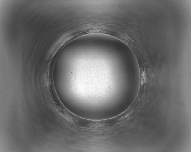 X0000066020291200603031256