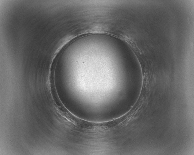 X0000066020292200603031256