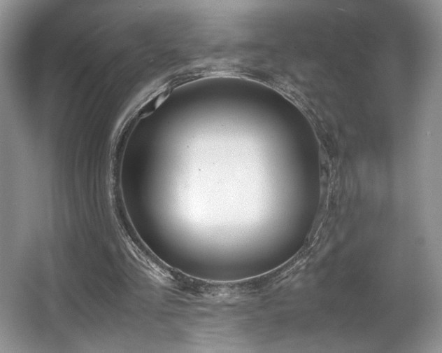 X0000066020293200603031256