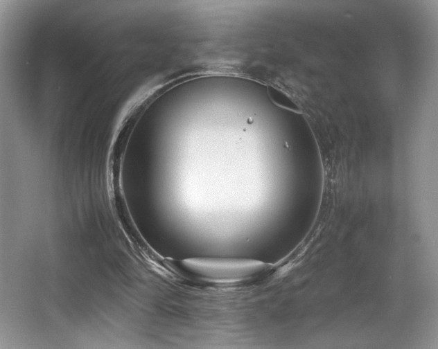 X0000066020294200603031256