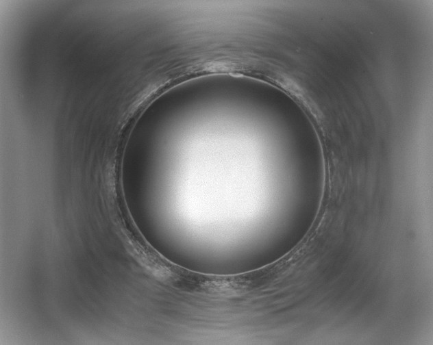 X0000066020297200603031256