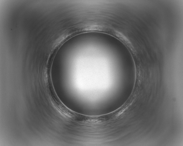X0000066020298200603031256