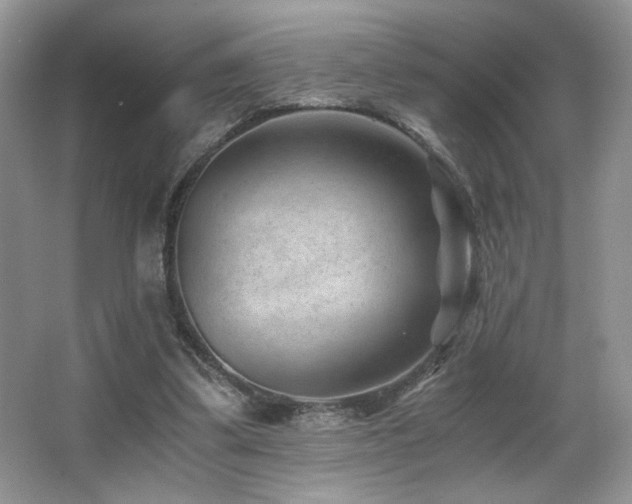 X0000066020299200603031256
