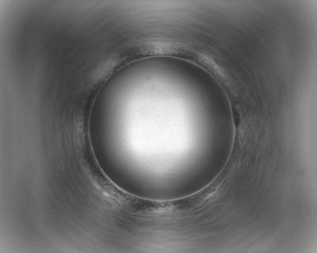 X0000066020306200603031256