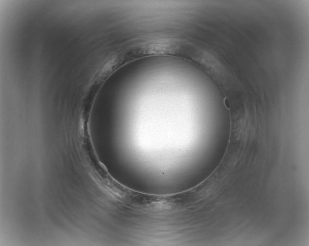 X0000066020310200603031256
