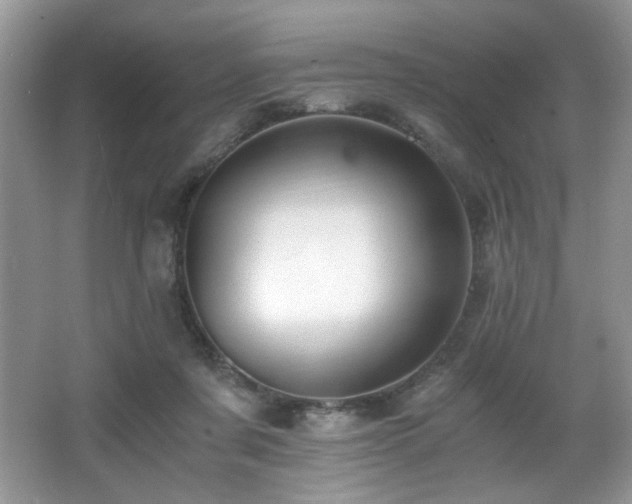 X0000066020311200603031256