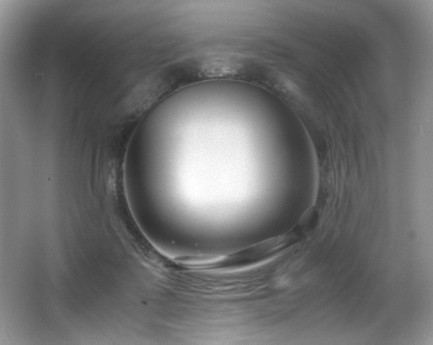 X0000066020315200603031256