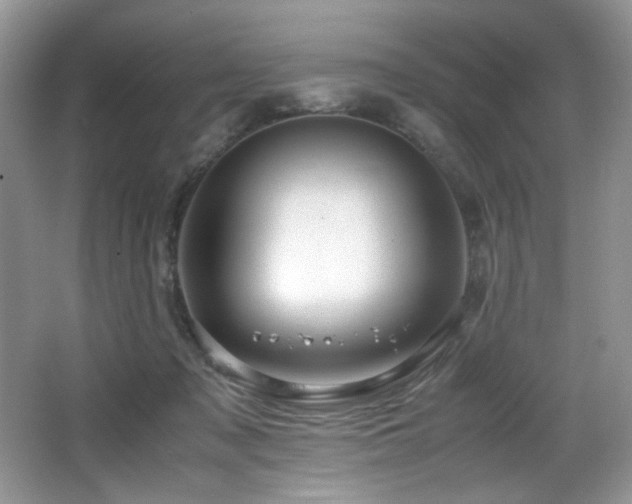 X0000066020317200603031256