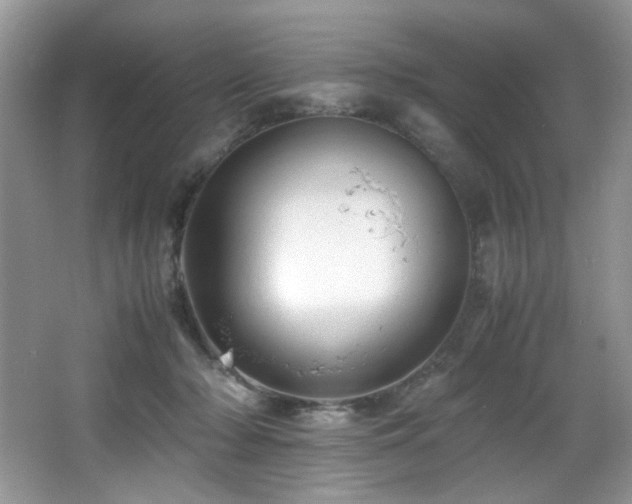 X0000066020318200603031256