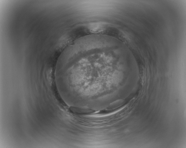 X0000066020319200603031256