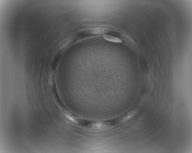 X0000066020325200603031256
