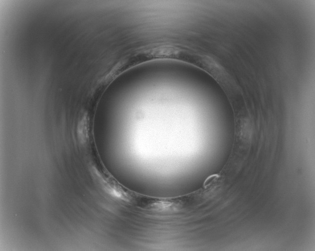 X0000066020326200603031256