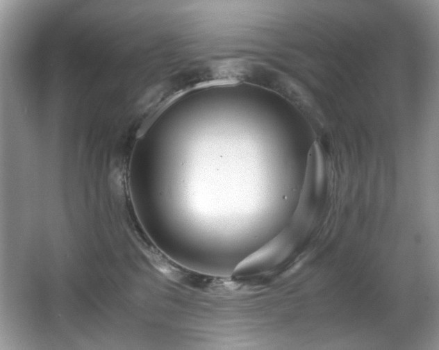 X0000066020329200603031255