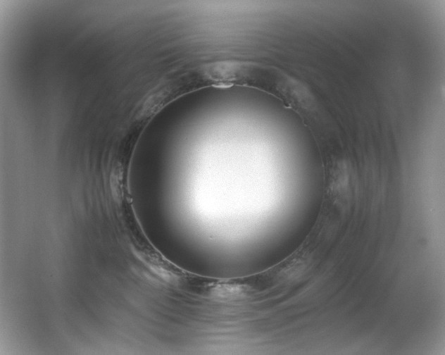 X0000066020332200603031255