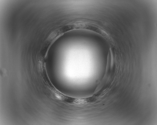 X0000066020333200603031255
