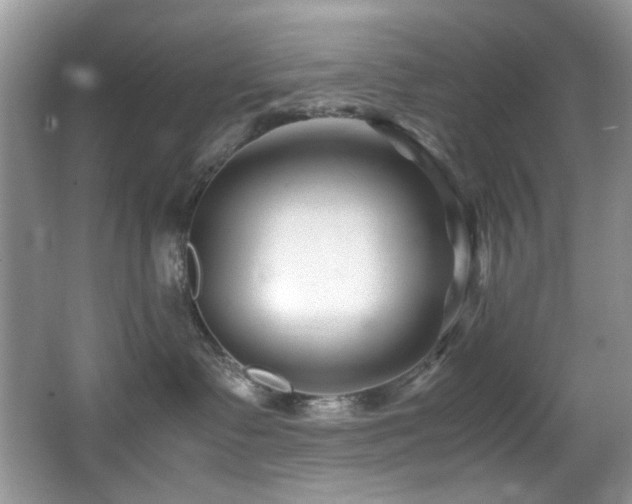 X0000066020335200603031255
