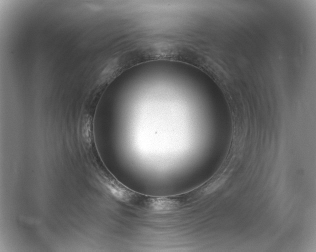 X0000066020336200603031255