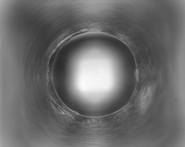 X0000066020338200603031255