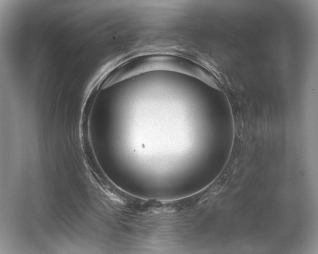 X0000066020340200603031255