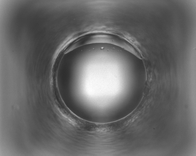 X0000066020344200603031255