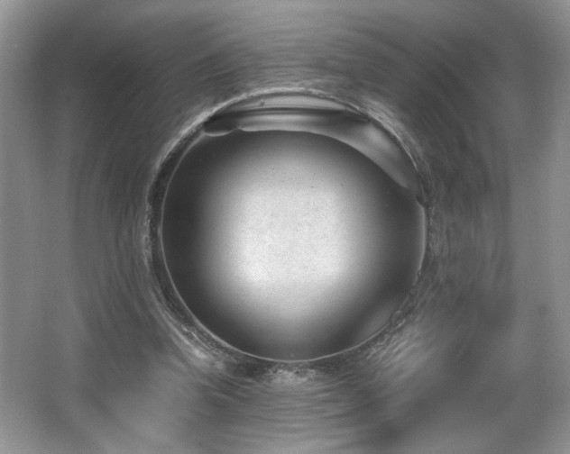 X0000066020346200603031255