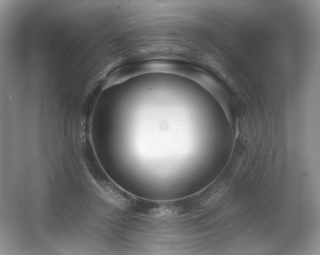 X0000066020356200603031255