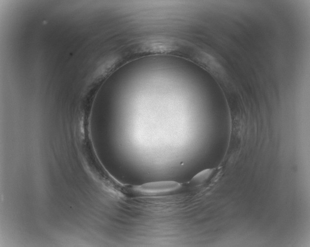 X0000066020358200603031255
