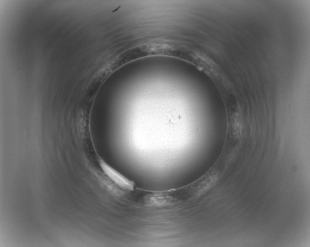 X0000066020372200603031255