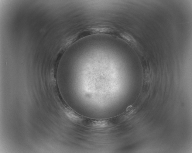 X0000066020377200603031255