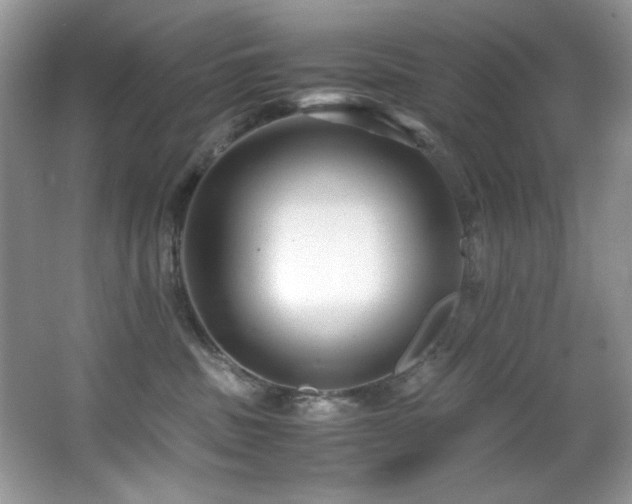 X0000066020379200603031255