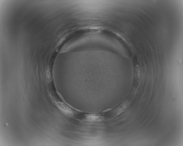 X0000066020380200603031255
