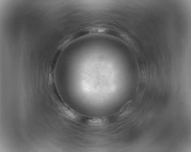 X0000066020381200603031255