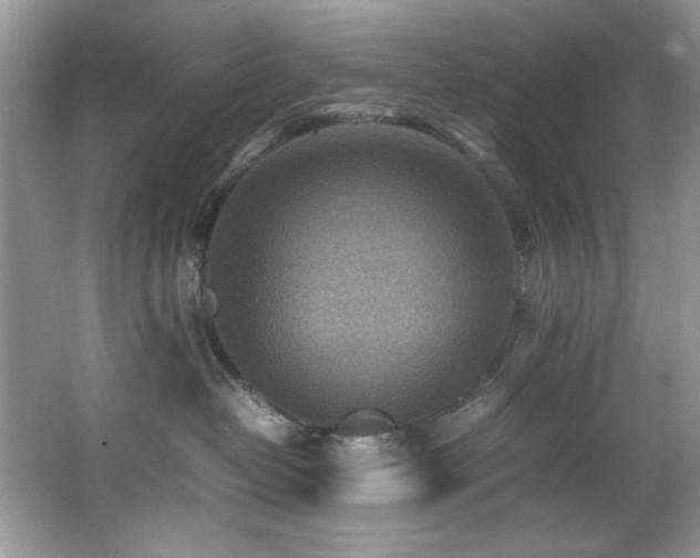 X0000066020382200603031255