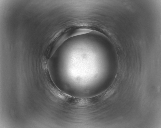 X0000066020384200603031255