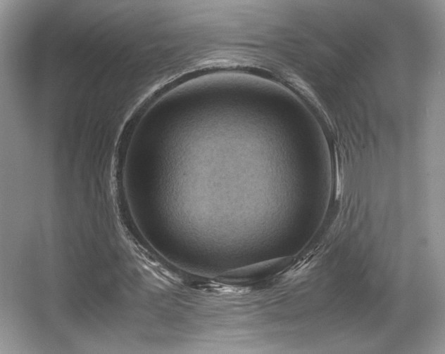 X0000066020387200603031255