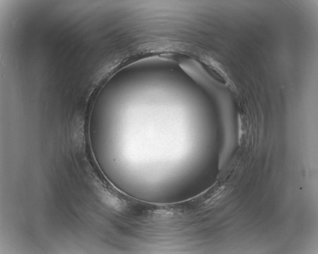 X0000066020394200603031254