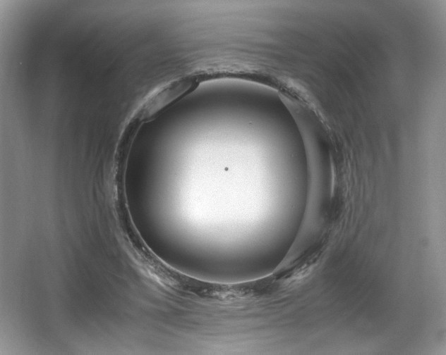 X0000066020395200603031254